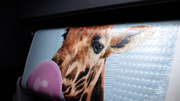 Dimensional Giraffe Chewing Bubble Gum Portrait