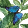 Green Leaves MB Thumbnail